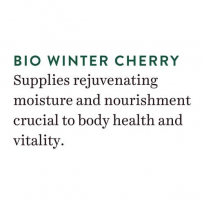 Biotique Bio Wintercherry Rejuvenating Body Nourisher